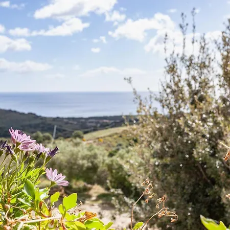 Agriturismo Comino Alto By Rentbeat